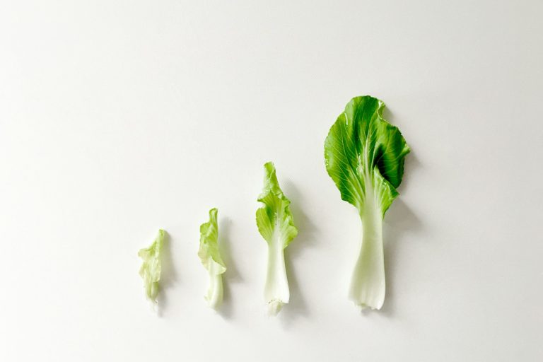 green vegetable on white surface